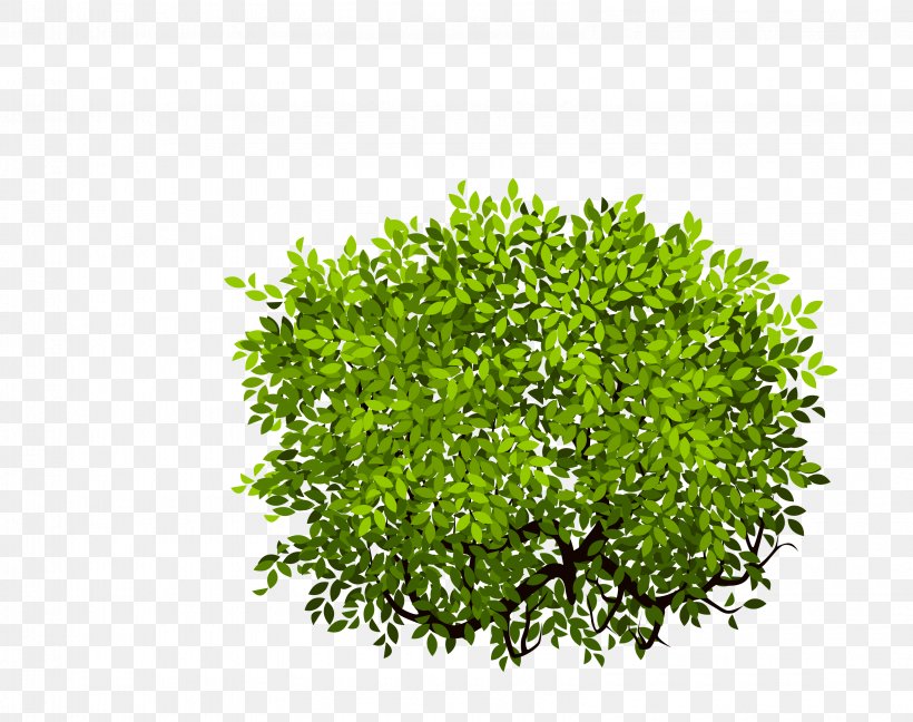 Shrub Tree, PNG, 3195x2525px, Shrub, Grass, Green, Landscape, Leaf Download Free