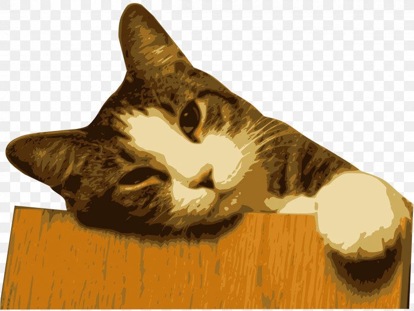 Snowshoe Cat Kitten Tiger Clip Art, PNG, 2400x1801px, Snowshoe Cat, Black Cat, Carnivoran, Cat, Cat Like Mammal Download Free