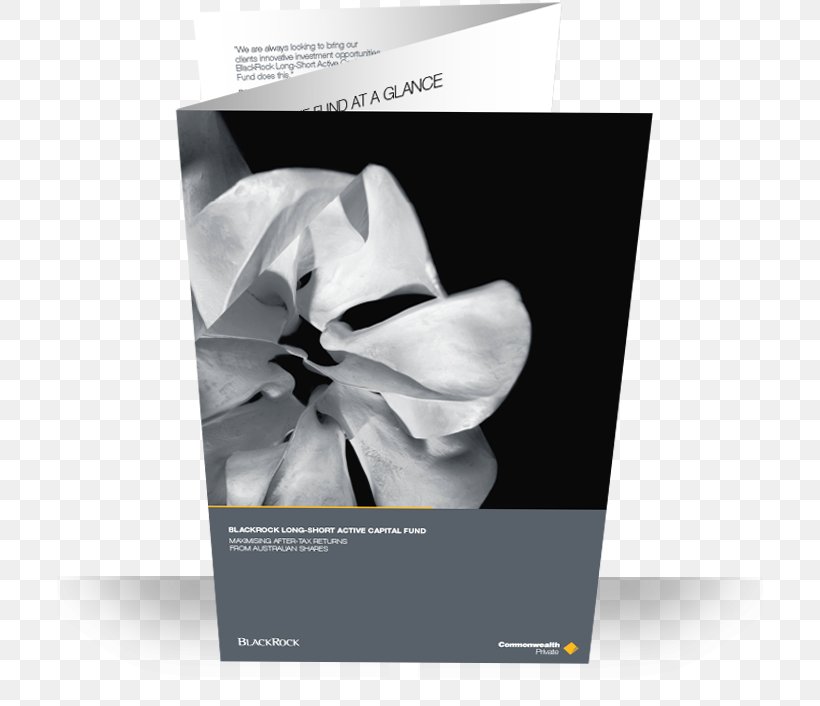 Commonwealth Bank Graphic Design Grifgraf, PNG, 706x706px, Commonwealth Bank, Black And White, Brand, Brochure, Flower Download Free