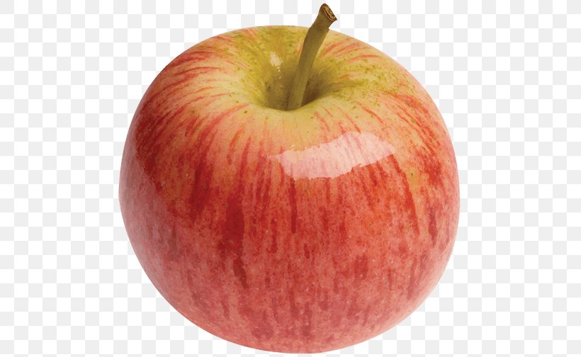 Apple Fruit Gala Organic Food, PNG, 500x504px, Apple, Accessory Fruit, Apple Extract, Extract, Food Download Free