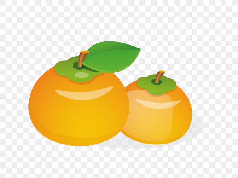 Clementine Euclidean Vector Tangerine, PNG, 878x658px, Clementine, Apple, Citrus, Food, Fruit Download Free