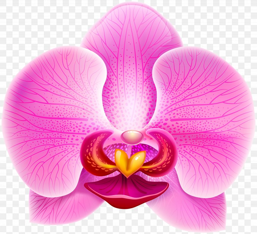 Moth Orchids Clip Art, PNG, 5000x4551px, Moth Orchids, Close Up, Flower, Flowering Plant, Lilac Download Free