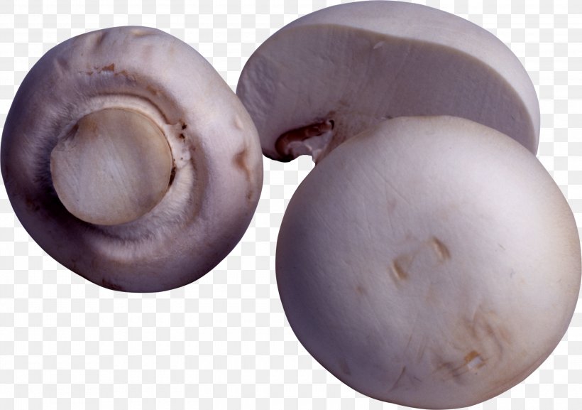 Calocybe Gambosa Common Mushroom Vegetable Fungus, PNG, 3000x2111px, Common Mushroom, Agaricus, Calocybe Gambosa, Fungus, Image File Formats Download Free