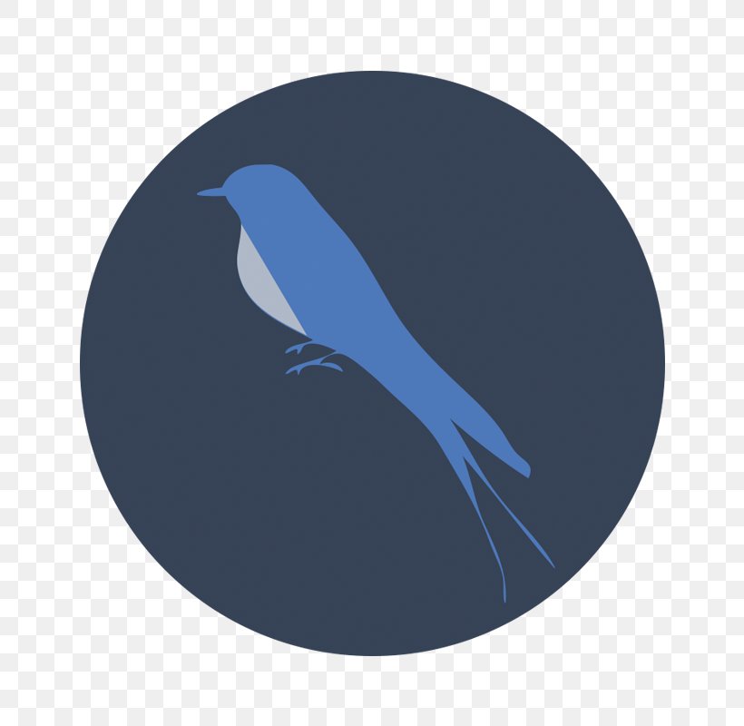 Cobalt Blue Beak, PNG, 800x800px, Cobalt Blue, Beak, Bird, Blue, Cobalt Download Free