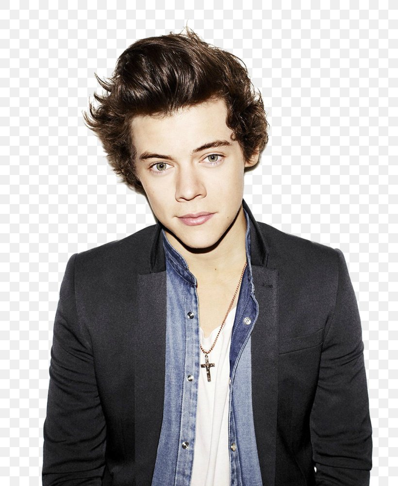Harry Styles The X Factor Photography, PNG, 800x1000px, Watercolor, Cartoon, Flower, Frame, Heart Download Free