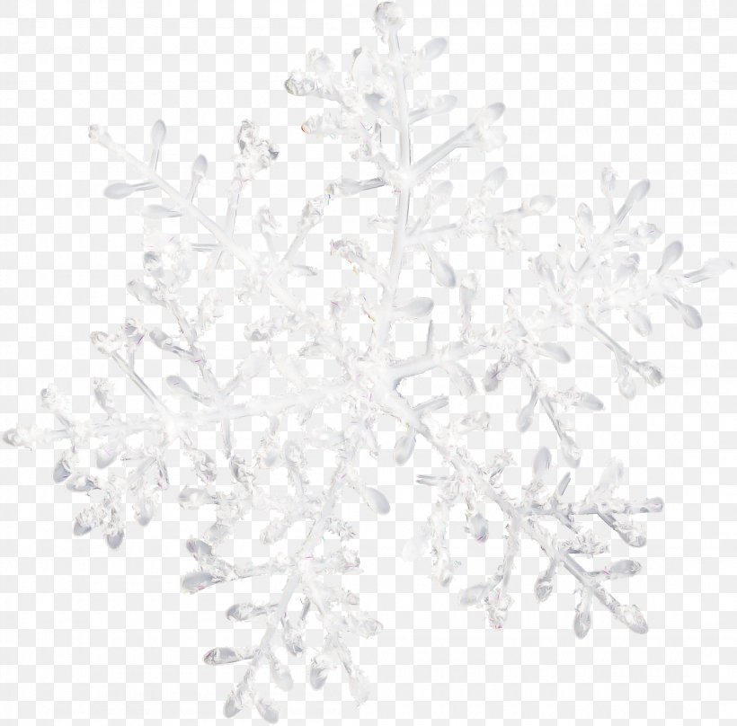 Snowflake Background, PNG, 2200x2168px, Snowflake, Branch, Plant, Snow, Tree Download Free