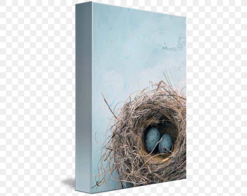 Bird Nest Stock Photography Royalty-free, PNG, 428x650px, Bird, Architecture, Art, Bird Nest, Canvas Print Download Free