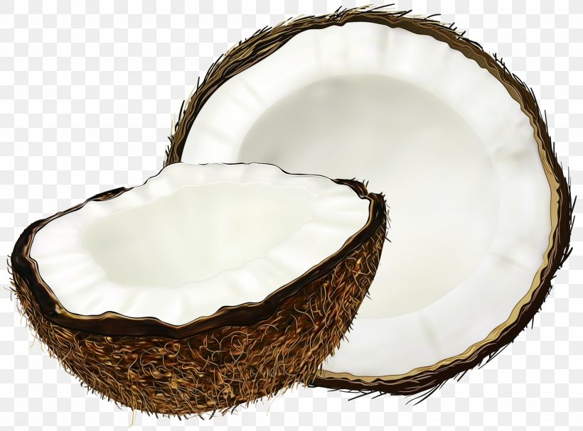 Clip Art Coconut Water Coconut Milk Image, PNG, 3000x2223px, Coconut Water, Coconut, Coconut Cake, Coconut Cream, Coconut Milk Download Free