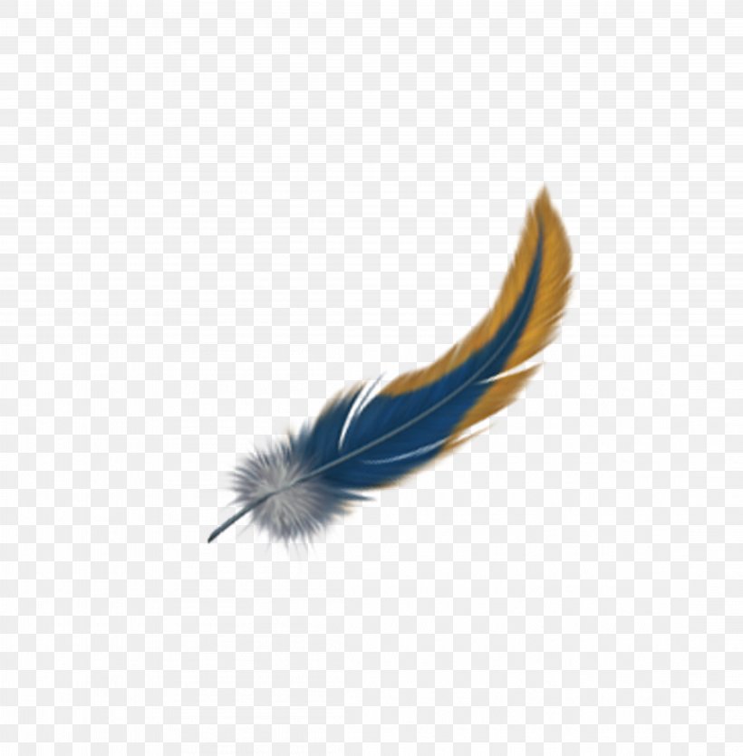 Feather Bird Hair Euclidean Vector, PNG, 4417x4500px, Feather, Bird, Blue, Body Hair, Diagram Download Free