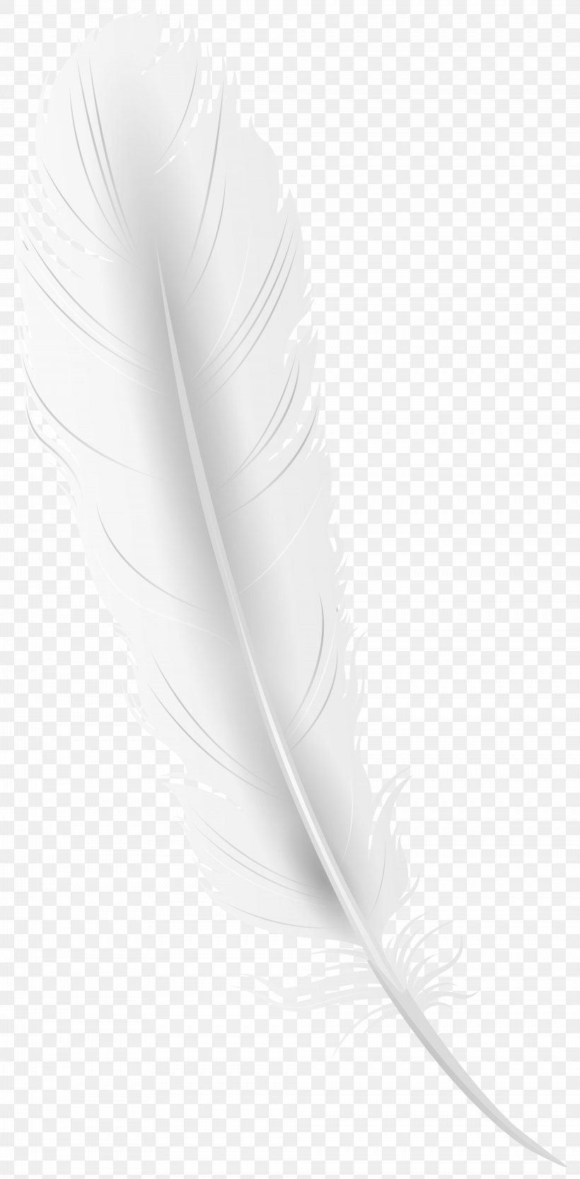 Feather Product Design Line, PNG, 3936x8000px, Feather, Bird, Black And White, Quill, White Download Free