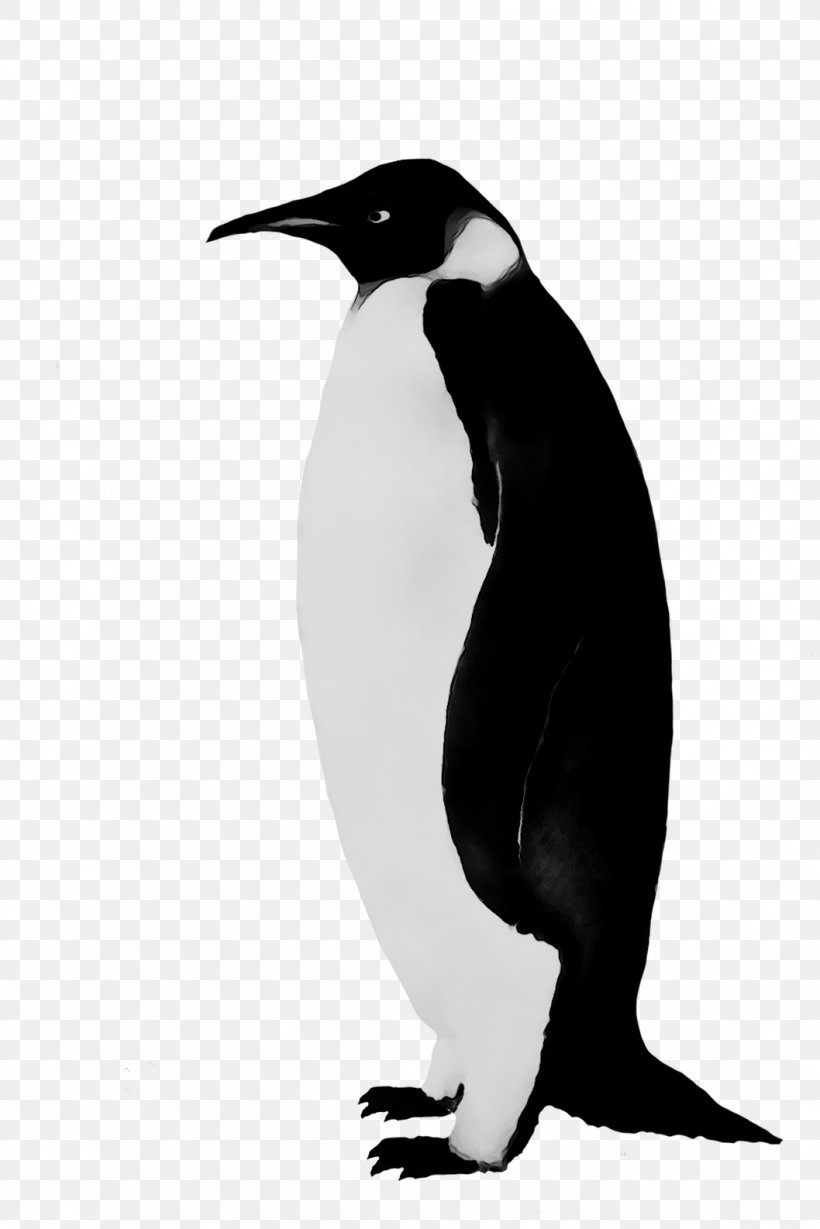 King Penguin Fauna Beak, PNG, 1058x1586px, King Penguin, Beak, Bird, Blackandwhite, Emperor Penguin Download Free