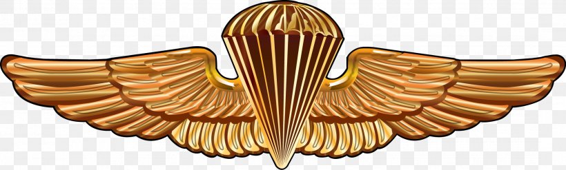 United States Army Airborne School United States Navy SEALs Parachutist Badge, PNG, 2141x645px, United States Army Airborne School, Airborne Forces, Aircrew Badge, Body Jewelry, Brass Download Free