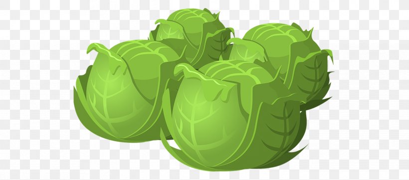 Cabbage Spring Greens Vegetable Clip Art, PNG, 1217x536px, Cabbage, Brassica Oleracea, Carrot, Collard Greens, Food Download Free