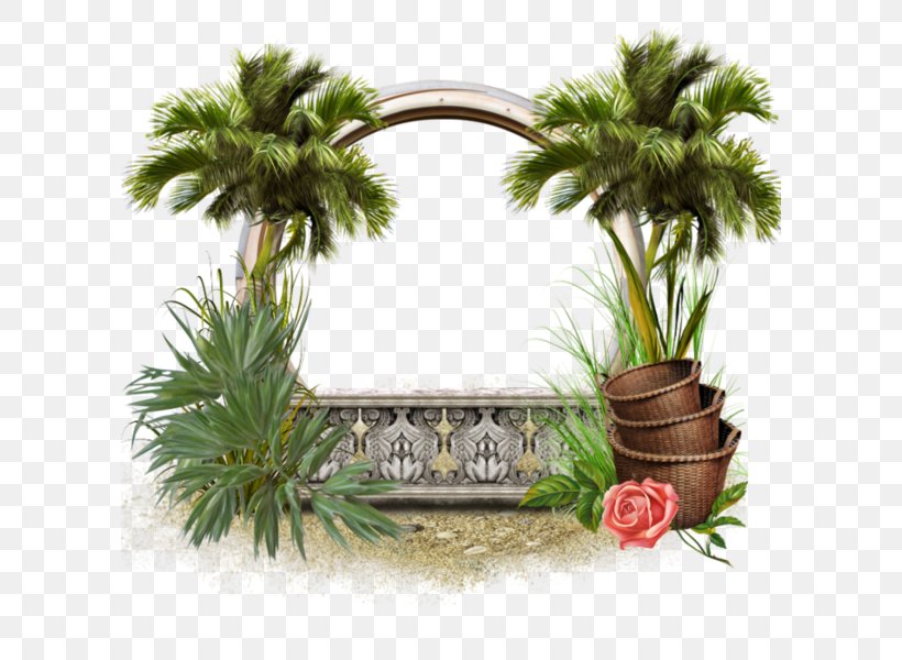 Drawing Clip Art, PNG, 600x600px, Drawing, Arecaceae, Arecales, Cartoon, Flowerpot Download Free