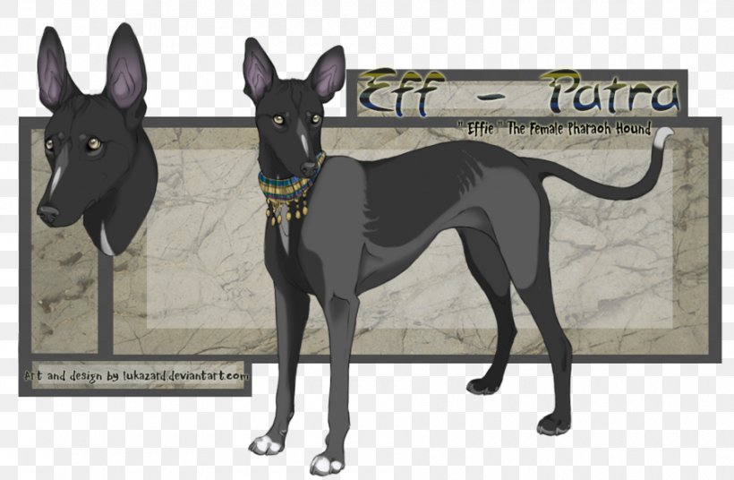 Italian Greyhound Pharaoh Hound Dog Breed Whippet, PNG, 900x589px, Italian Greyhound, Art, Carnivoran, Deviantart, Digital Art Download Free