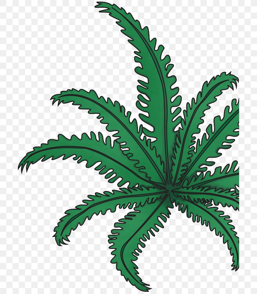 Leaf Plant Stem Flowerpot Hemp Family, PNG, 706x939px, Leaf, Cannabis, Family, Flowerpot, Hemp Download Free