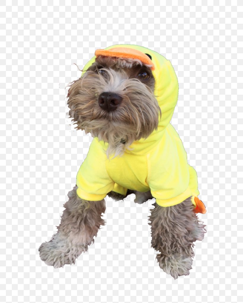 Schnoodle Disguise Costume Party Halloween, PNG, 768x1024px, Schnoodle, Carnival, Clothing, Companion Dog, Costume Download Free