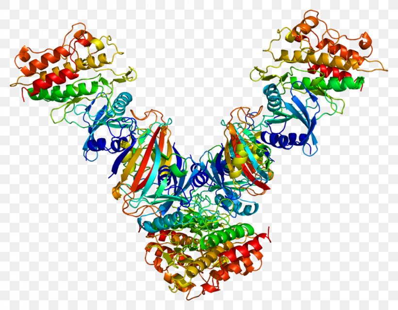 Transforming Growth Factor Beta TGF Beta Receptor 1 TGF Beta 1, PNG, 1043x815px, Transforming Growth Factor Beta, Aortic Aneurysm, Art, Body Jewelry, Cell Download Free