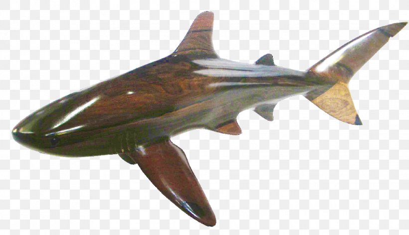 Whale Shark Bull Shark Hammerhead Shark Cetacea, PNG, 1135x652px, Shark, Artist, Belize, Bull Shark, Caribbean Art Download Free