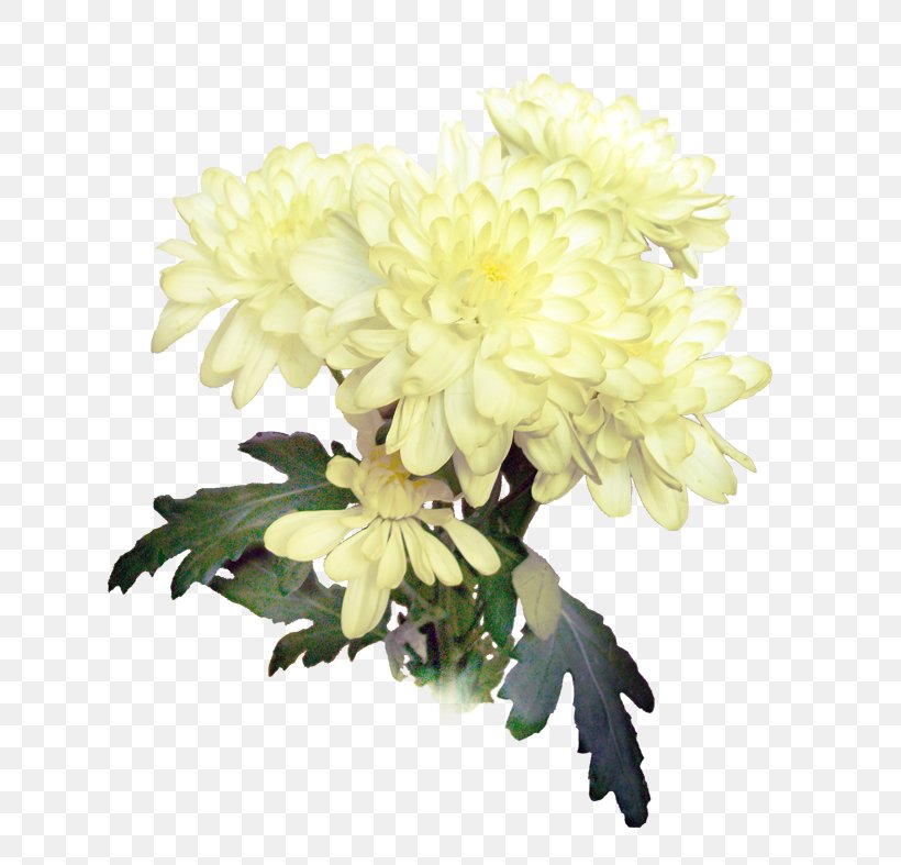 Chrysanthemum Floral Design Cut Flowers Dahlia, PNG, 676x787px, Chrysanthemum, Artificial Flower, Chrysanths, Cut Flowers, Dahlia Download Free