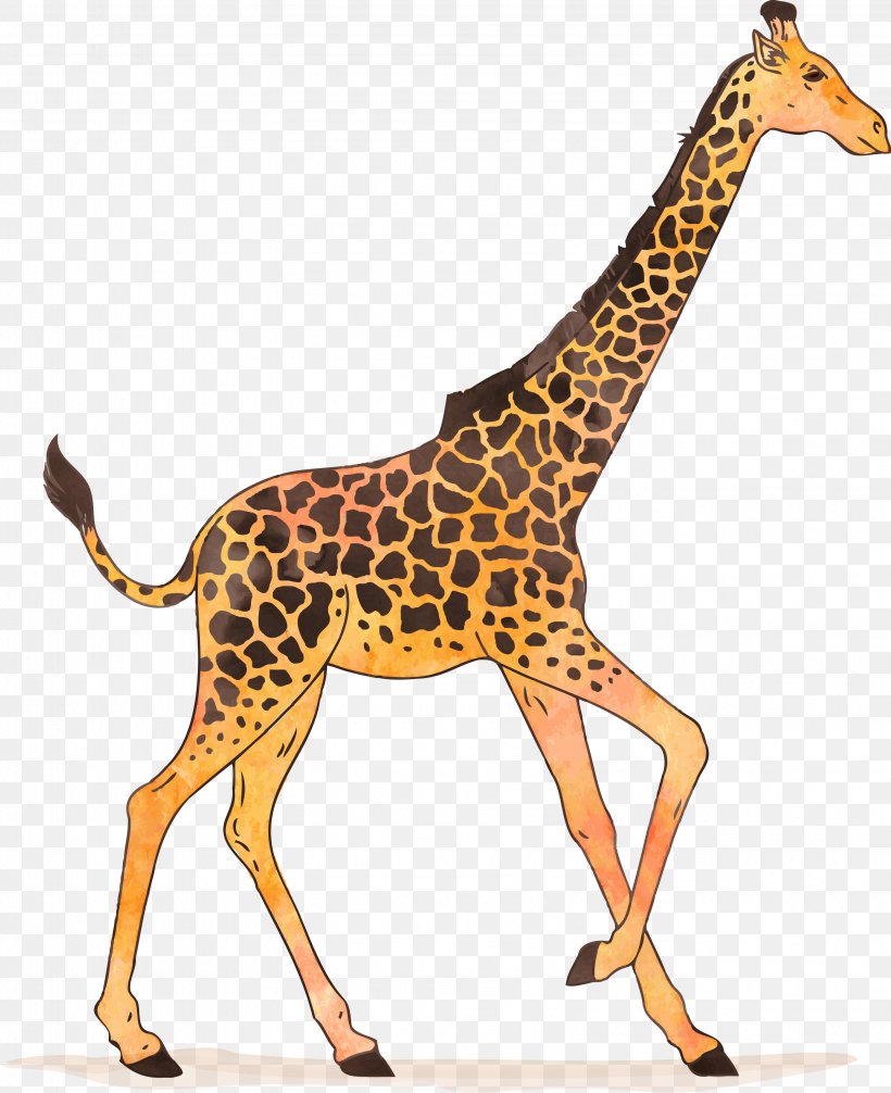 Giraffe Watercolor Painting Drawing Illustration, PNG, 3193x3920px, Giraffe, Animal Figure, Art, Cartoon, Drawing Download Free