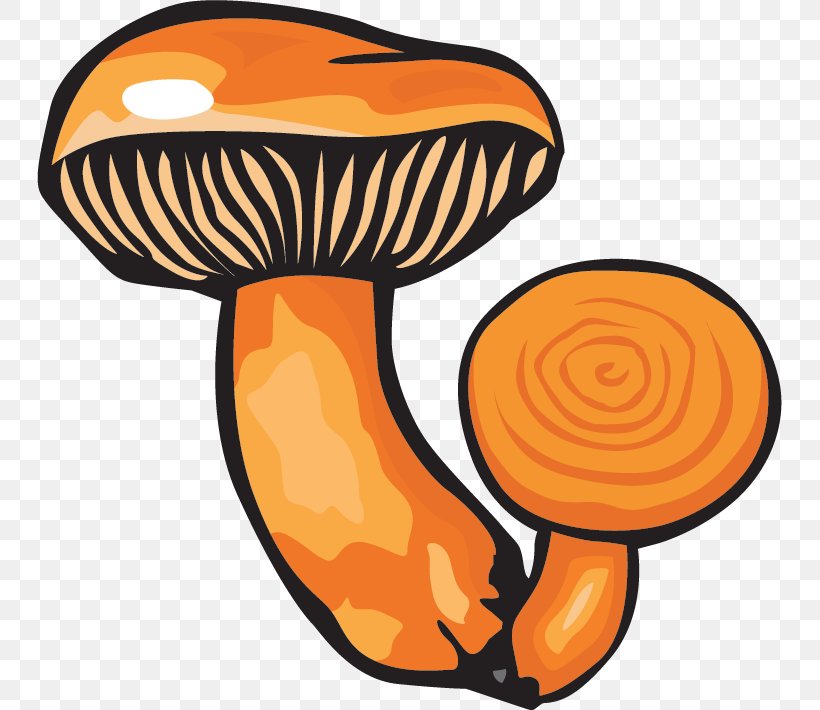 Edible Mushroom Fungus Shiitake Clip Art, PNG, 745x710px, Mushroom, Artwork, Boletus Edulis, Common Mushroom, Cream Of Mushroom Soup Download Free