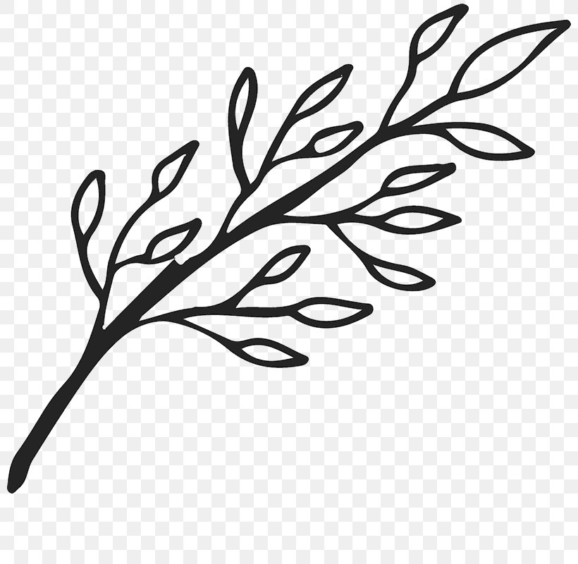 Twig Branch Leaf Clip Art, PNG, 800x800px, Twig, Black, Black And White, Branch, Flora Download Free