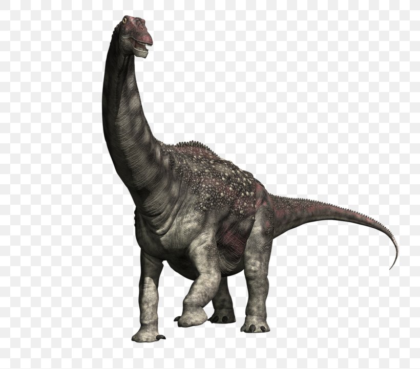 Diamantinasaurus Dinosaur Size Tyrannosaurus Compsognathus Brachiosaurus, PNG, 800x721px, 3d Computer Graphics, Diamantinasaurus, Animal Figure, Brachiosaurus, Compsognathus Download Free