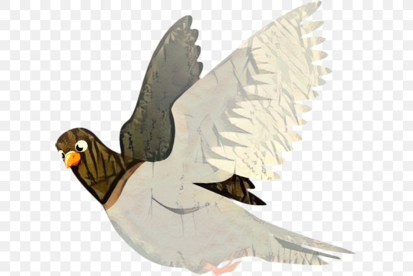 Homing Pigeon Clip Art Fantail Pigeon Indian Fantail Bird, PNG, 600x549px, Homing Pigeon, Animal Figure, Beak, Bird, Columbiformes Download Free