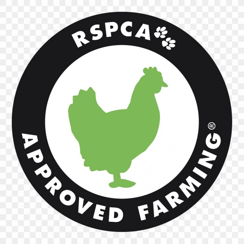 Logo Poultry Chicken Free-range Eggs Food, PNG, 886x886px, Logo, Area, Beak, Bird, Brand Download Free