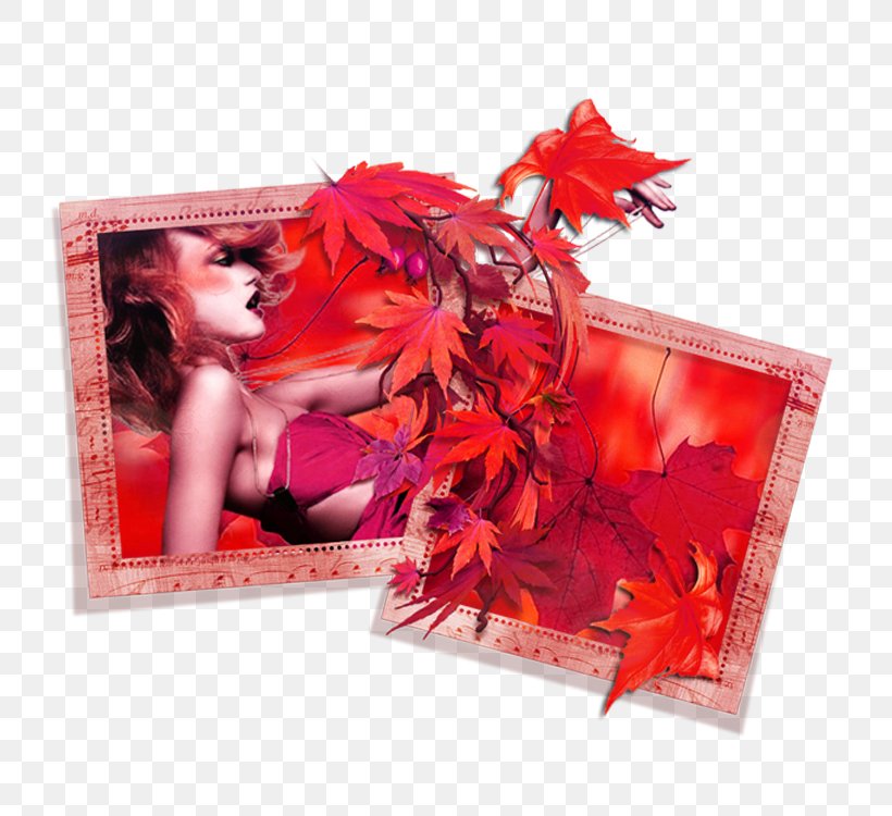 Maple Leaf Picture Frame, PNG, 750x750px, Leaf, Concepteur, Designer, Gratis, Maple Leaf Download Free