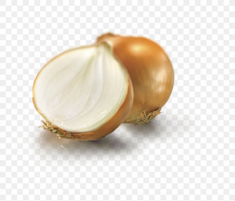 Sofrito Shallot Yellow Onion Food Ingredient, PNG, 1170x1002px, Sofrito, Balsamic Vinegar, Chef, Commodity, Dish Download Free