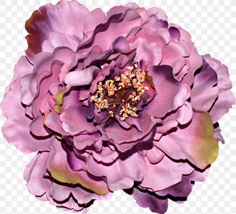 Cut Flowers Centifolia Roses Rosaceae Petal, PNG, 1200x1089px, Flower, Centifolia Roses, Cut Flowers, Floristry, Flowering Plant Download Free