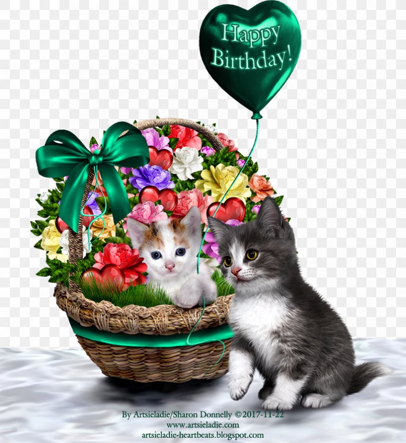 Kitten Whiskers Flowerpot, PNG, 825x900px, Kitten, Cat, Cat Like Mammal, Flower, Flowerpot Download Free