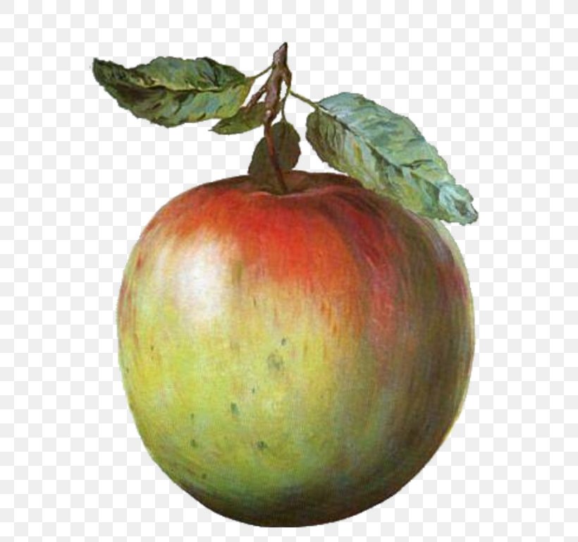 The Treachery Of Images Golconda This Is Not An Apple The Son Of Man Blue Cinema, PNG, 596x768px, Treachery Of Images, Apple, Art, Artist, Fine Art Download Free