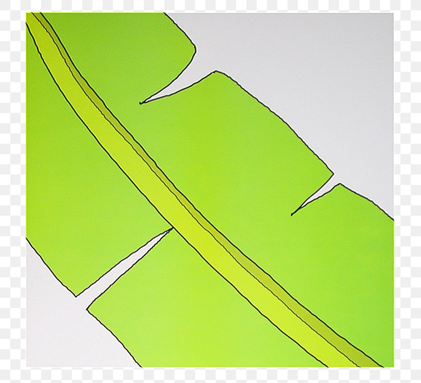 Green Yellow Rectangle, PNG, 785x746px, Green, Grass, Leaf, Rectangle, Yellow Download Free
