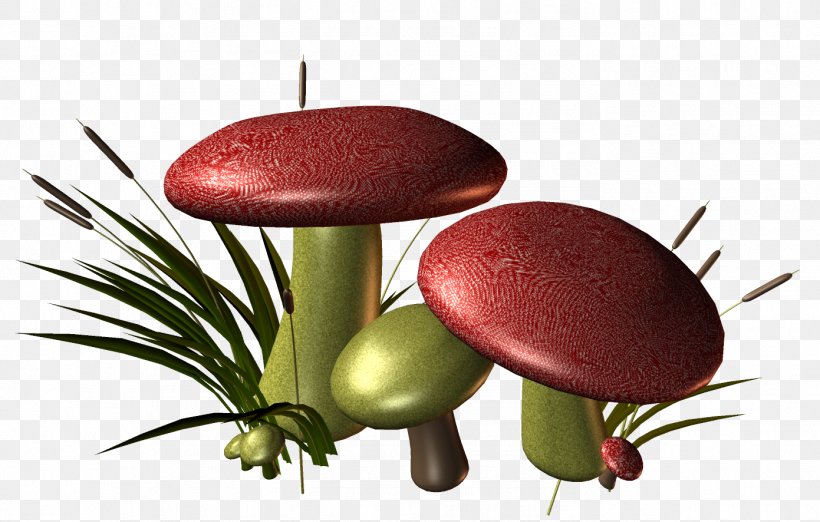 Mushroom Euclidean Vector Red, PNG, 1391x886px, Mushroom, Creativity, Designer, Fruit, Fungus Download Free