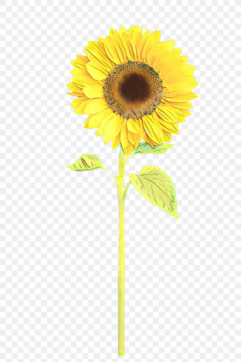 Sunflower, PNG, 1024x1536px, Flower, Cut Flowers, Gerbera, Petal, Plant Download Free