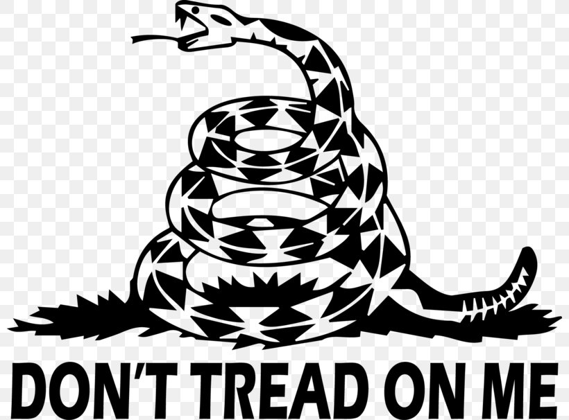 United States Gadsden Flag Decal Bumper Sticker, PNG, 800x606px, United States, Black And White, Brand, Bumper Sticker, Decal Download Free