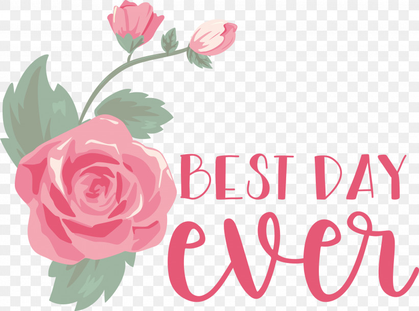 Best Day Ever Wedding, PNG, 3000x2230px, Best Day Ever, Browser Extension, Floral Design, Garden Roses, Pixlr Download Free