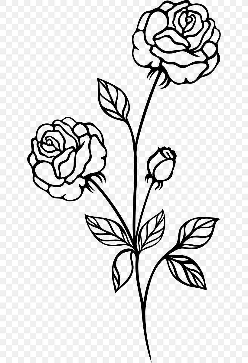 Black Rose Black And White Clip Art, PNG, 640x1200px, Rose, Art ...