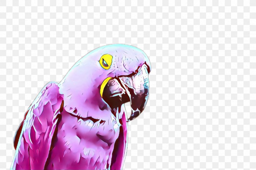 Parakeet Bird Parrot Macaw Budgie, PNG, 2452x1632px, Cartoon, Beak, Bird, Budgie, Macaw Download Free