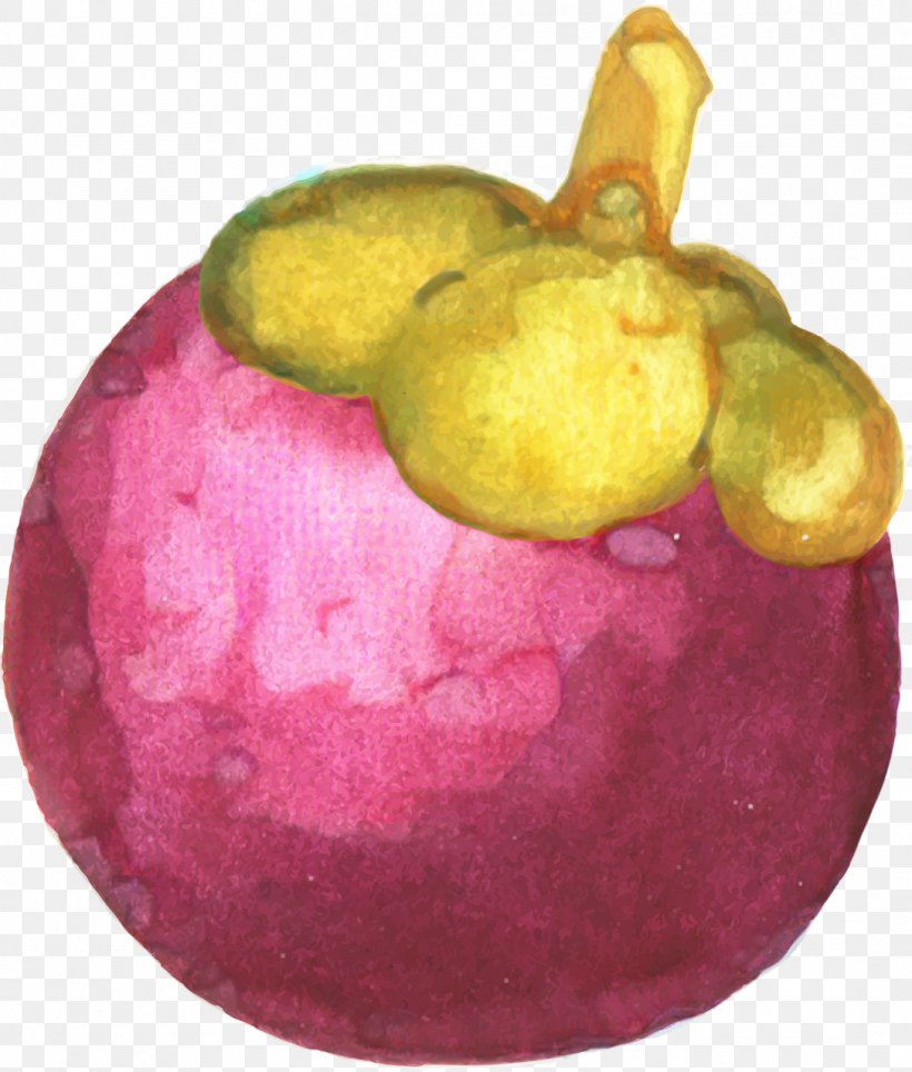 Watercolor Plant, PNG, 1088x1280px, Mangosteen, Apple, Food, Fruit, Magenta Download Free