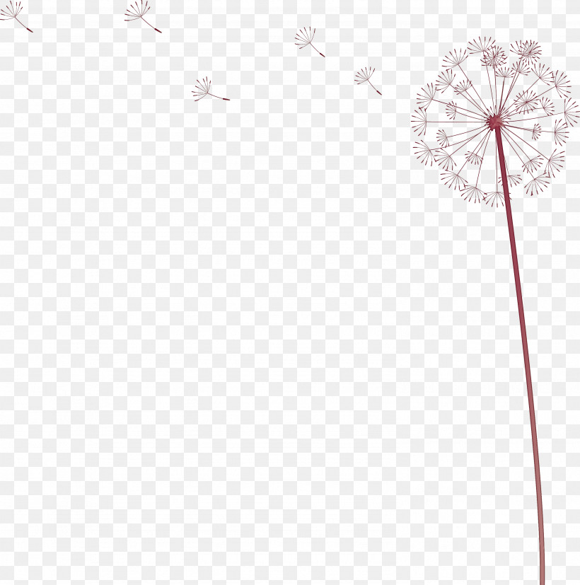 Dandelion, PNG, 2972x3000px, Dandelion, Biology, Flower, Geometry, Line Download Free