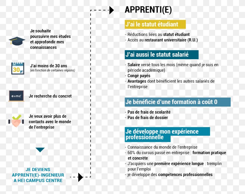 Hautes études D'ingénieur Contrat D'apprentissage Apprenticeship Learning Organization, PNG, 800x649px, Apprenticeship, Area, Berufsausbildung, Brand, Diagram Download Free