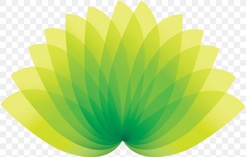 Leaf Shape Green Petal, PNG, 1280x821px, Leaf, Brand, Color, Flower, Green Download Free