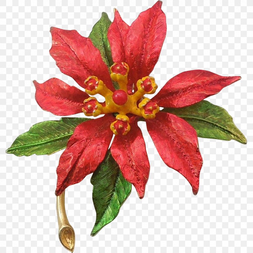 Poinsettia Christmas Day Flower Pin Brooch, PNG, 853x853px, Poinsettia, Big O, Brooch, Christmas Day, Flower Download Free