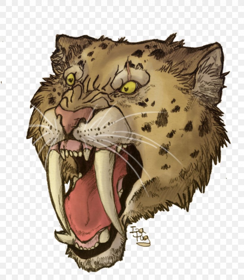 Cat Tiger Leopard Cheetah Mammal, PNG, 835x956px, Cat, Animal, Big Cat, Big Cats, Carnivora Download Free