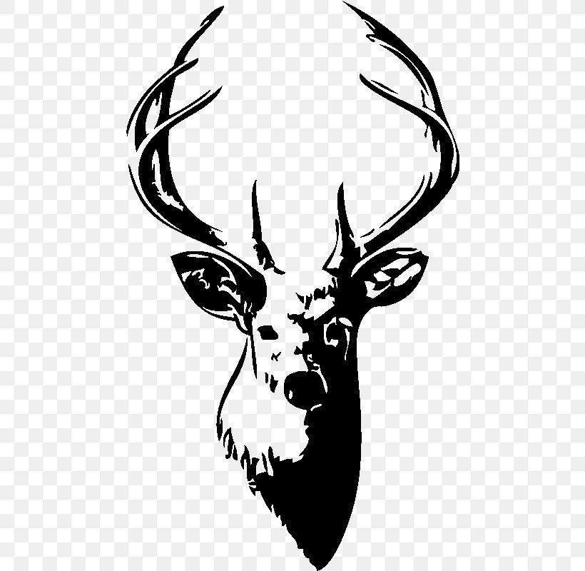 Deer Bacup Cricket Club T-shirt Drawing Art, PNG, 800x800px, Deer, Antler, Art, Bacup Cricket Club, Black And White Download Free