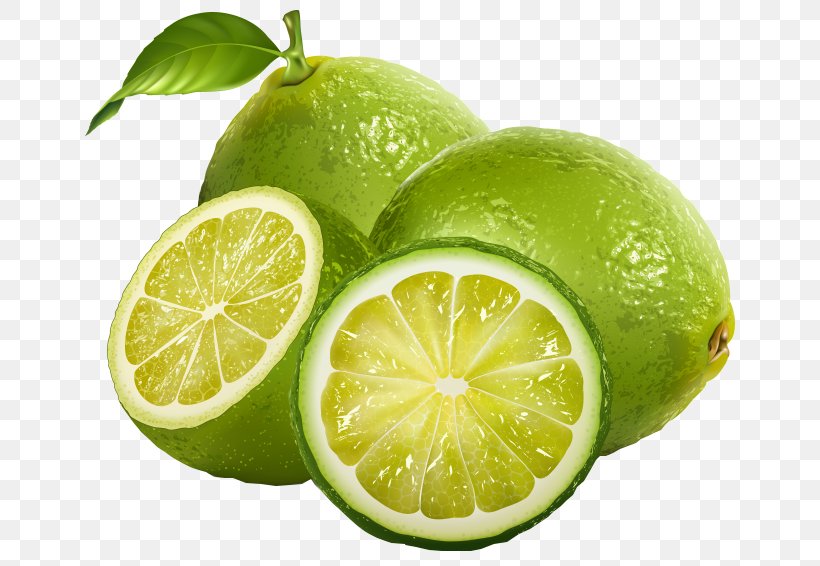 Juice Lemon Lime Illustration, PNG, 650x566px, Juice, Bitter Orange, Citric Acid, Citron, Citrus Download Free